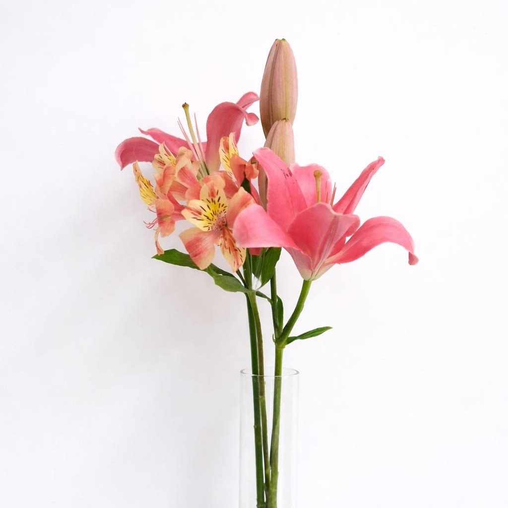 Universidad de Valparaíso 2